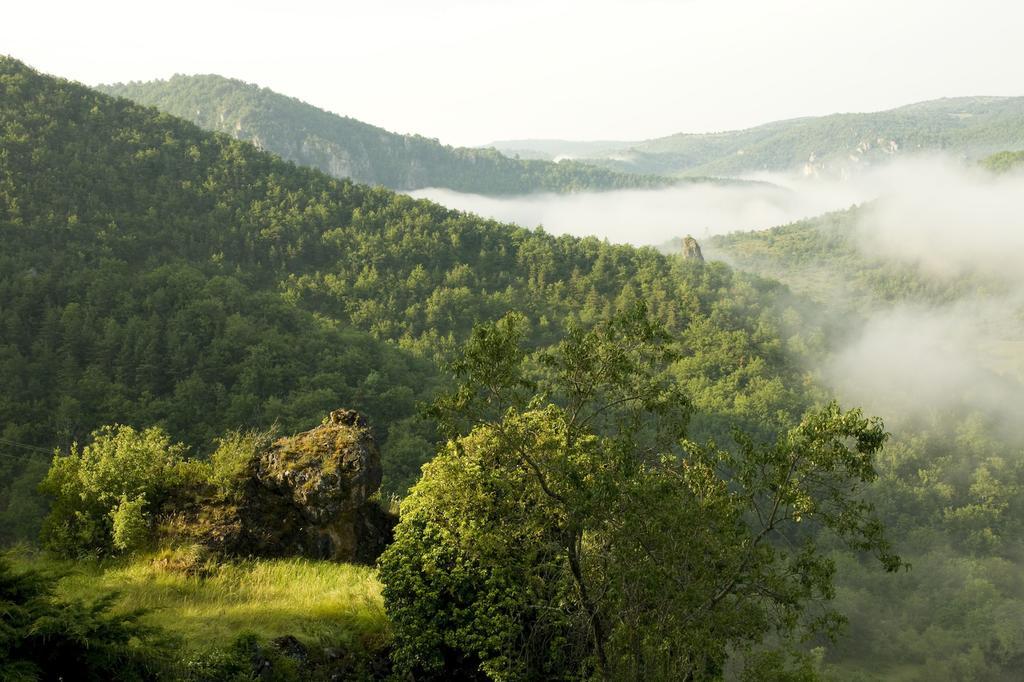 Le Colombier Saint-Veran La Roque-Sainte-Marguerite Exteriér fotografie
