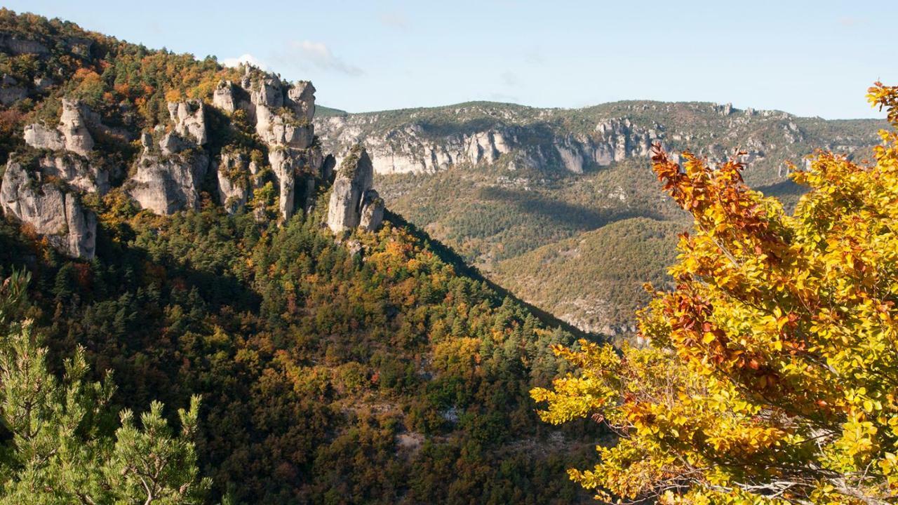 Le Colombier Saint-Veran La Roque-Sainte-Marguerite Exteriér fotografie